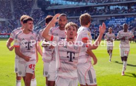 20.09.25 TSG 1899 Hoffenheim - FC Bayern M&uuml;nchen