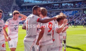 20.09.25 TSG 1899 Hoffenheim - FC Bayern M&uuml;nchen