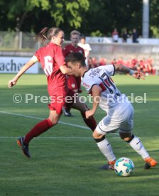 VFB Stuttgart-Fan Auswahl Spiel
