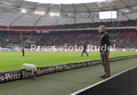 VfB Stuttgart - VfL Wolfsburg