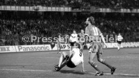 16.10.1991 Deutschland - Wales