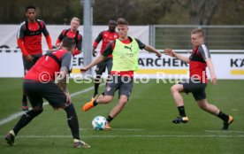VfB Stuttgart Training