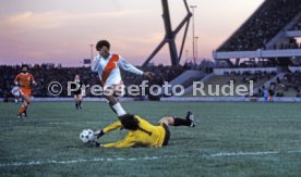 FIFA WM 1978