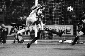 VfB Stuttgart - Cosmos New York