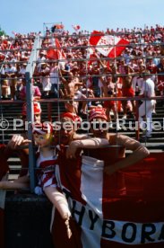 14.06.88 Deutschland - D&auml;nemark