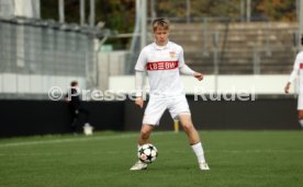 06.11.24 U19 VfB Stuttgart - U19 Atalanta Bergamo