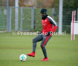 VfB Stuttgart Training