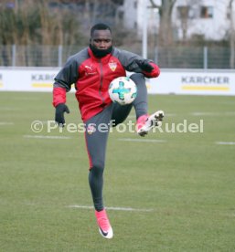 VfB Stuttgart Training