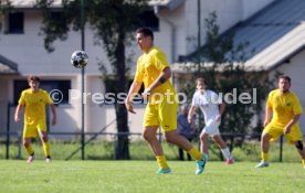 23.08.26 TSV Ph&ouml;nix Steinsfurt - SV Tiefenbach