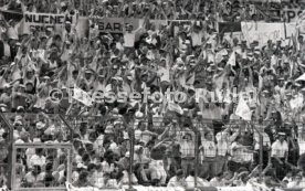 25.05.88 PSV Eindhoven - Benfica Lissabon
