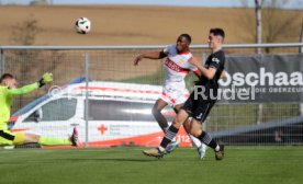 19.04.25 VfB Stuttgart II - SC Verl