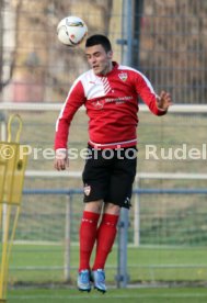 VfB Stuttgart Training
