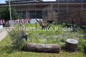 18.07.24 VfB Stuttgart Vorstellung Biodiversit&auml;ts-Lehrpfad
