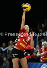 Dresdener SC - Allianz MTV Stuttgart
