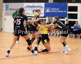 11.02.22 TV Nellingen - Frisch Auf G&ouml;ppingen II