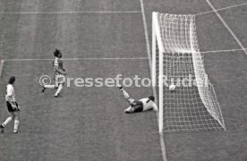 WM 1990 Argentinien - Kamerun