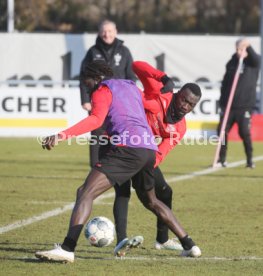 VfB Stuttgart Training