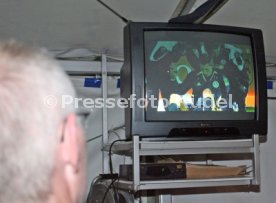 Stuttgarter Kickers