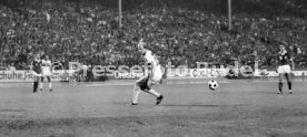 VfB Stuttgart - Cosmos New York