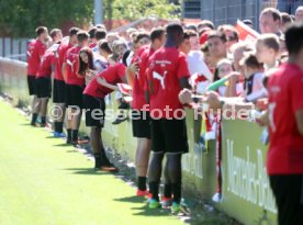 VfB Stuttgart Training