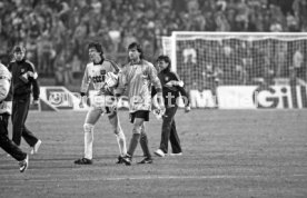 22.06.88 UDSSR - Italien