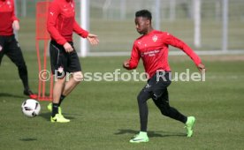 VfB Stuttgart Training