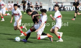 08.03.26 U19 VfB Stuttgart - U19 1. FC K&ouml;ln