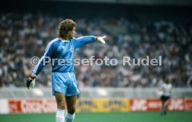 20.06.84 Spanien - Deutschland