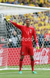 UEFA Frankreich Euro 2016 Irland - Schweden