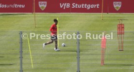 VfB Stuttgart Training