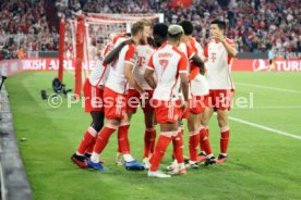 20.09.23 FC Bayern M&uuml;nchen - Manchester United
