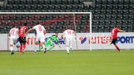 SG Sonnenhof Gro&szlig;aspach - FSV Zwickau