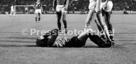 VfB Stuttgart - Cosmos New York