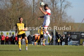 08.02.25 VfB Stuttgart II - SG Dynamo Dresden