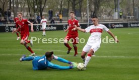 U19 VfB Stuttgart - U17 FC Bayern M&uuml;nchen