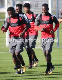 VfB Stuttgart Training