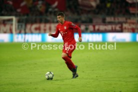 FC Bayern M&uuml;nchen - Roter Stern Belgrad