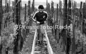 09.05.78 VfB Stuttgart Hansi M&uuml;ller Training Weinberge