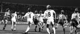 VfB Stuttgart - 1. FC K&ouml;ln