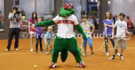 Porsche Tennis Grand Prix 2013