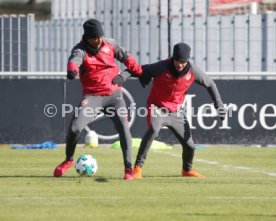 VfB Stuttgart Training
