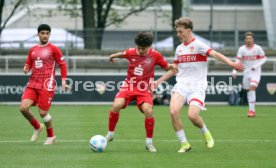 26.04.25 U19 VfB Stuttgart - U19 1. FC Köln