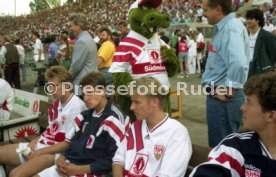 05.06.1993 VfB Stuttgart - SV Werder Bremen