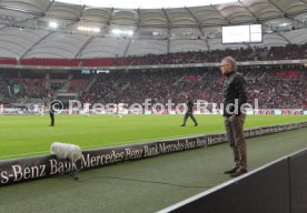 VfB Stuttgart - VfL Wolfsburg
