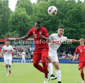 U 17 VfB Stuttgart - U17 FC Bayern M&uuml;nchen