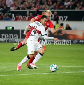 VfB Stuttgart - 1. FC K&ouml;ln