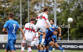 14.09.24 U17 VfB Stuttgart - U17 TSG 1899 Hoffenheim