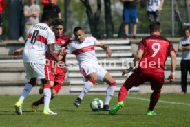 U 17 VfB Stuttgart - U19 1. FC Kaiserslautern