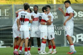 10.08.25 VfB Stuttgart II - FC Ingolstadt 04