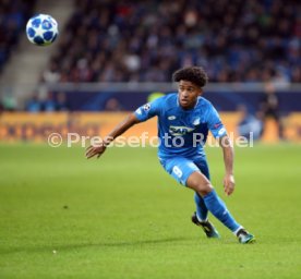 TSG 1899 Hoffenheim - Olympique Lyon